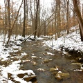 Sheltowee Trace - 13